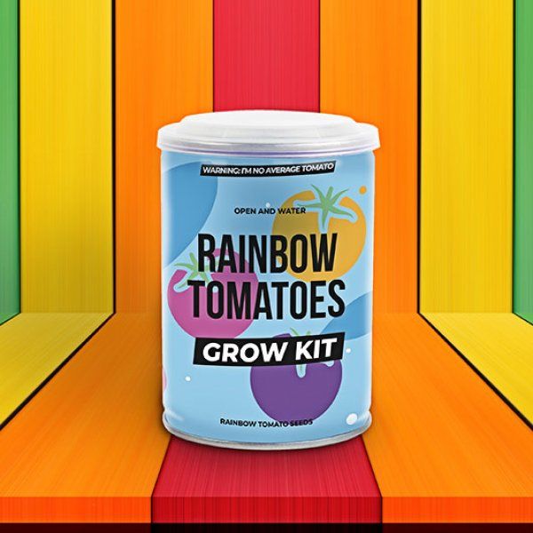 Grow Tin plechovka barevných rajčat